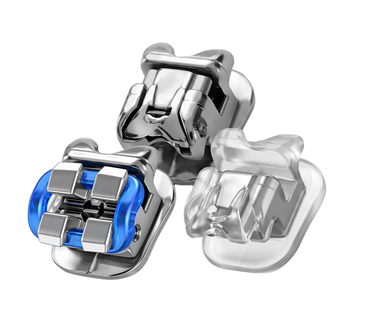 Metal Braces and Damon System